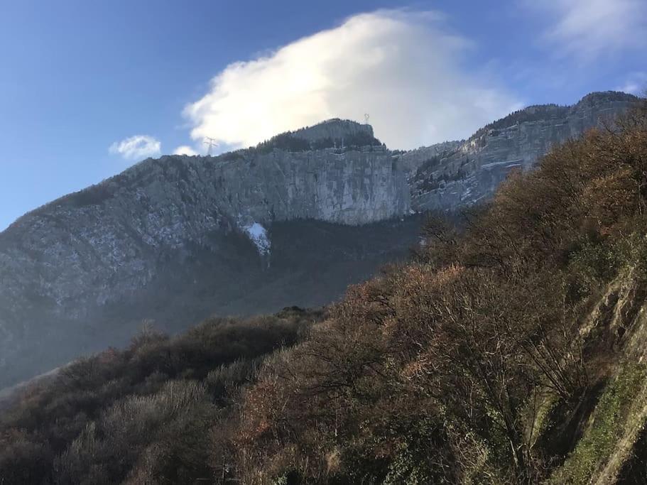 Вілла La Dent Du Loup A La Campagne, Proche De Grenoble Noyarey Екстер'єр фото